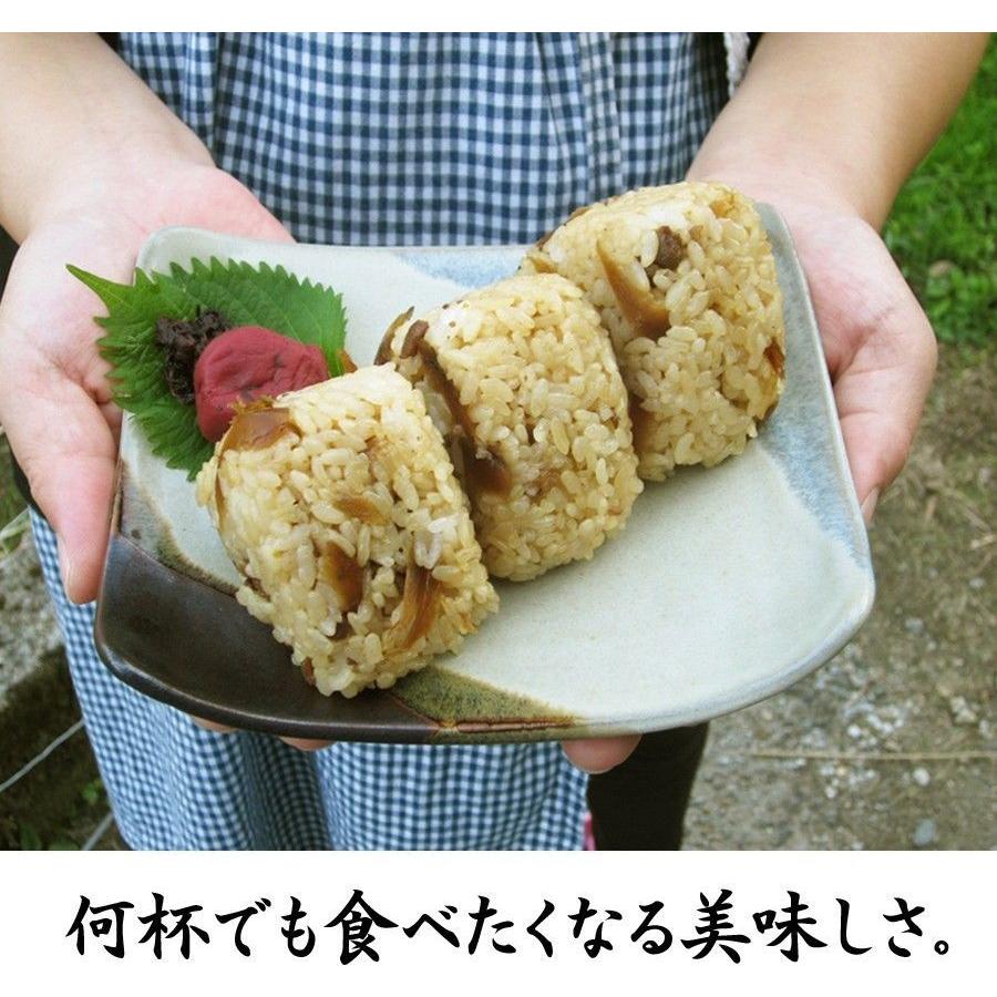 鶏めしの素 米3合用 5袋セット 出来上がったご飯に混ぜるだけ 国産 送料無料セール｜watasyoku｜04