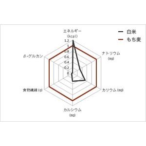 もち麦 国産 1kg 食物繊維 水溶性食物繊維βグルカン 国産 殻付もち麦 腸活 送料無料セール｜watasyoku｜10