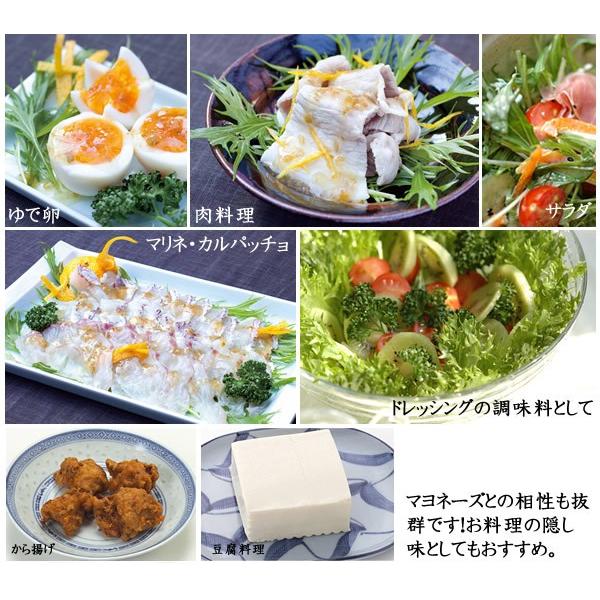 ユズリッチ 500ml YUZURICH ゆずリッチ 川津食品 甘酸っぱいゆずこしょう｜watasyoku｜04