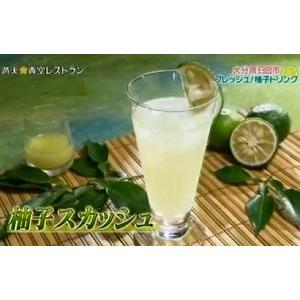 ゆず酢 ゆず果汁 柚子果汁 100％ 500g 国産ゆず : ワタショク便