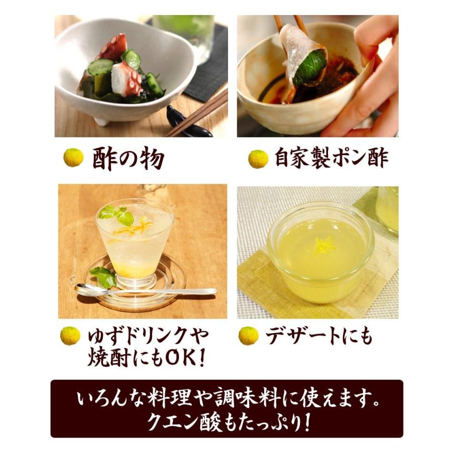 ゆず酢 ゆず果汁 柚子果汁 100％ 500g 国産ゆず : ワタショク便