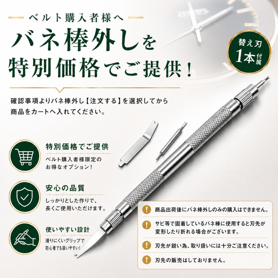 PROMASTER CITIZEN シチズン プロマスター 純正 ラバーベルト JR4046