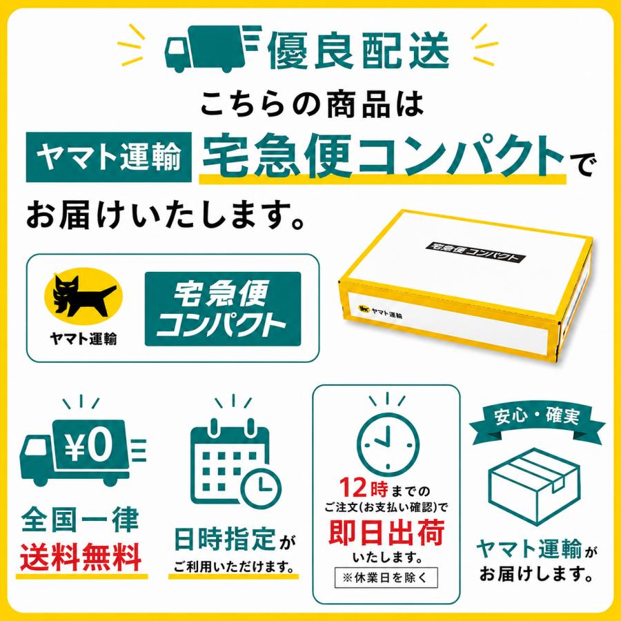 ASTRON SEIKO セイコー アストロン 純正 シリコン ラバー ベルト