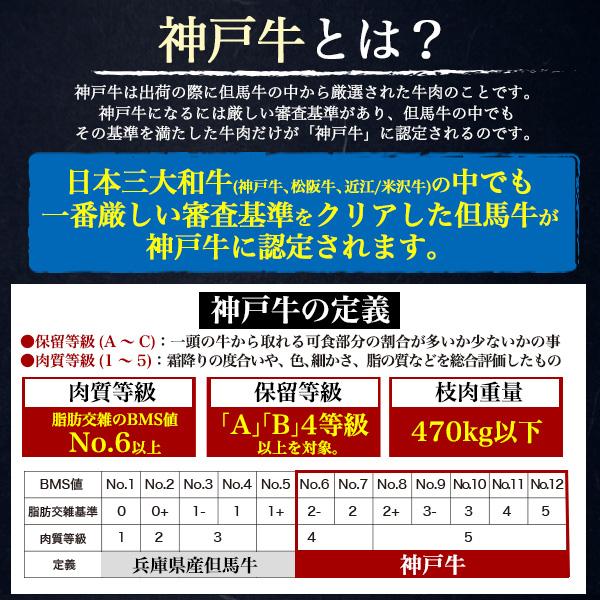 訳あり 神戸牛 切り落とし 200g×4セット 計800g A5ランク 100g あたり622円 お値打ち品 お買い得 小分けパック 切落 アウトレット｜watch-me｜06