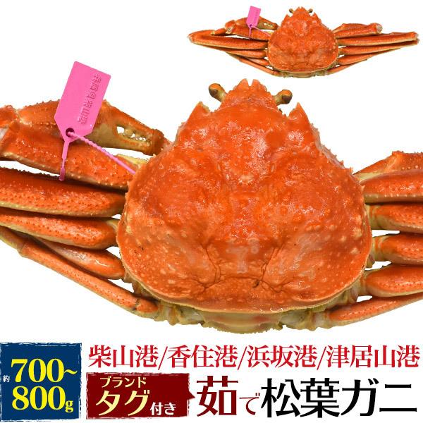 茹で 松葉ガニ 約700〜800g ズワイガニ ボイル済 クール発送 獲れたて 限定販売 カニ 蟹 かに 松葉かに まつばかに 販売