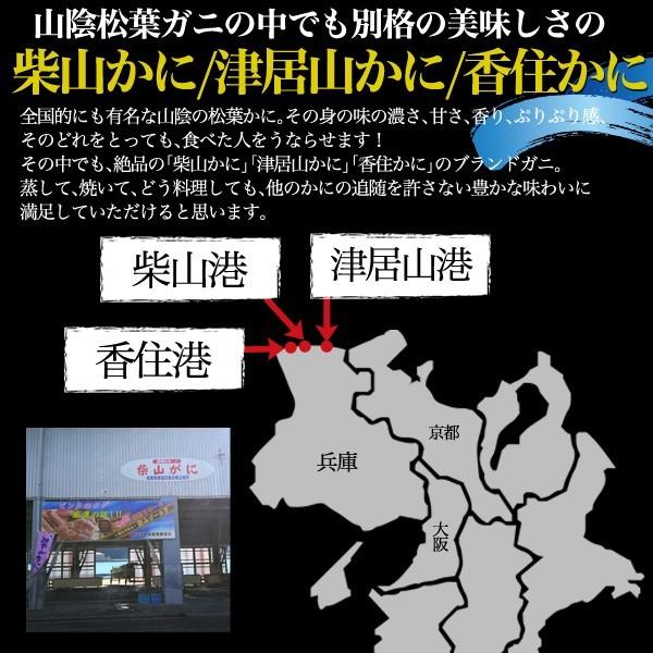 茹で 松葉ガニ 約700〜800g ズワイガニ ボイル済 クール発送 獲れたて 限定販売 カニ 蟹 かに 松葉かに まつばかに 販売 約700 ズワイガニ 柴山港 津居山港 香住港 浜坂港など