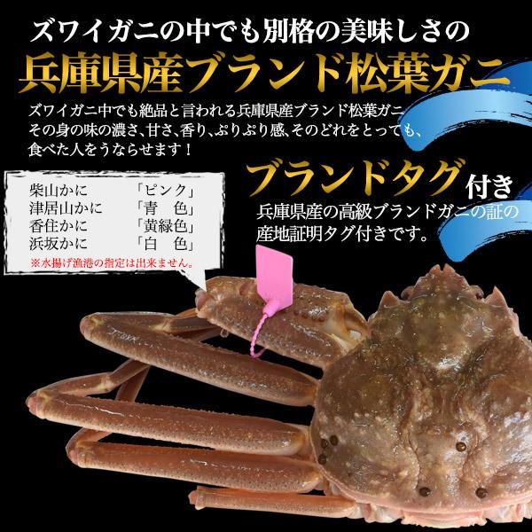 楽天スーパーセール 生きたままお届け かに カニ 蟹 限定販売 獲れたて ズワイガニ 約800 900g 松葉ガニ 生 活 通販 人気 新物スタート 21年11月解禁 カニ Meorboston Org