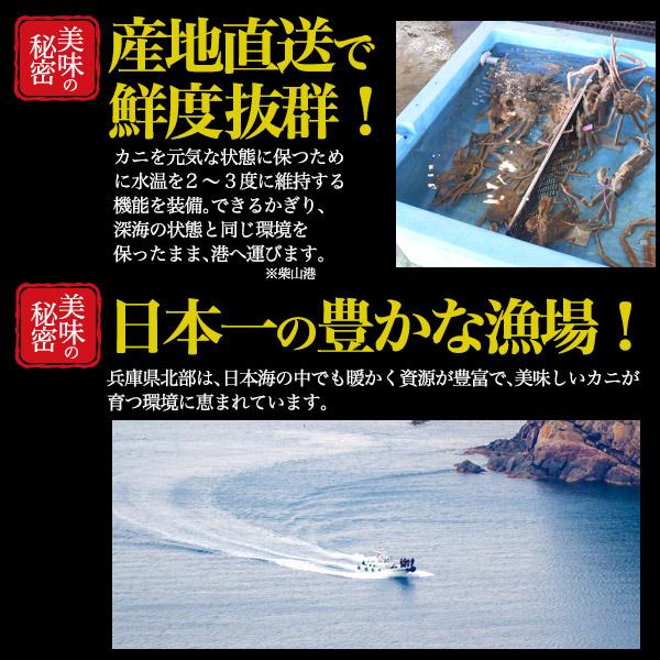 【最安値挑戦中】 松葉ガニ 活き 500g×2 生 活 但馬漁協 兵庫県産 蟹 カニ かに まつばがに マツバガニ 松葉かに まつばかに 販売 冷蔵便発送 【2358945782】(14960円)