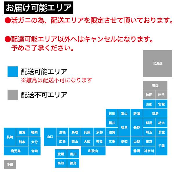 【最安値挑戦中】 松葉ガニ 活き 500g×2 生 活 但馬漁協 兵庫県産 蟹 カニ かに まつばがに マツバガニ 松葉かに まつばかに 販売 冷蔵便発送 【2358945782】(14960円)