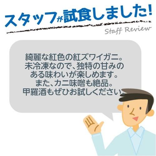 訳ありA級品 紅ズワイガニ 1.5kg 茹で 紅ずわいがに 3〜5杯 合計1.5kg前後 産地直送 カニ 蟹 かに ボイル 茹で 姿 日本 国内水揚げ 紅ずわい 紅ズワイ｜watch-me｜02