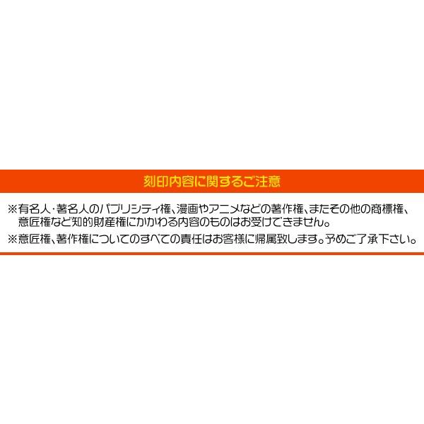 電子ライター アーク（プラズマ放電式） USB充電 USBライター オリジナル刻印無料｜watch-me｜05