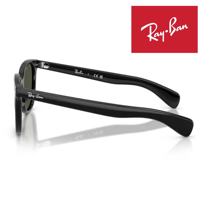 WAYFARER RayBan レイバン サングラス Brunel ii ブルネル 53□20