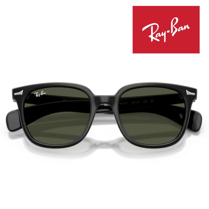 WAYFARER RayBan レイバン サングラス Brunel ii ブルネル 53□20