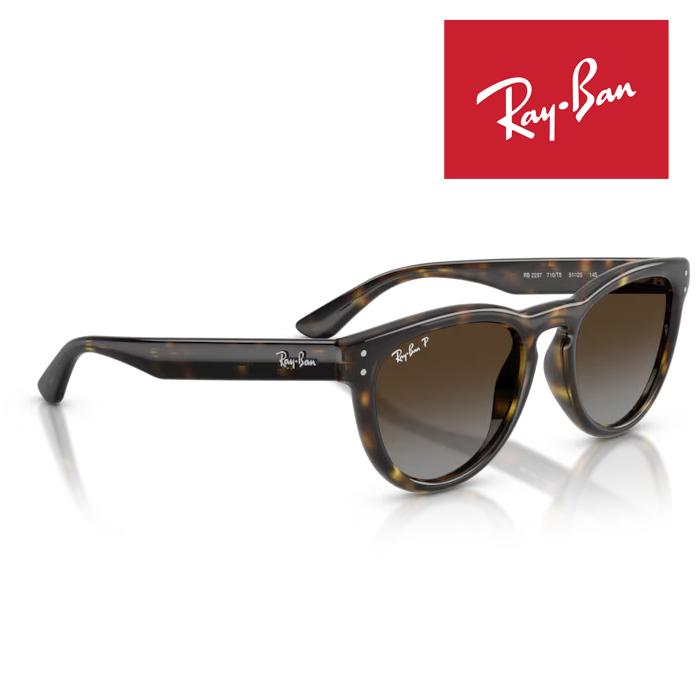 WAYFARER RayBan レイバン サングラス メガネフレーム 51□20 ハバナ