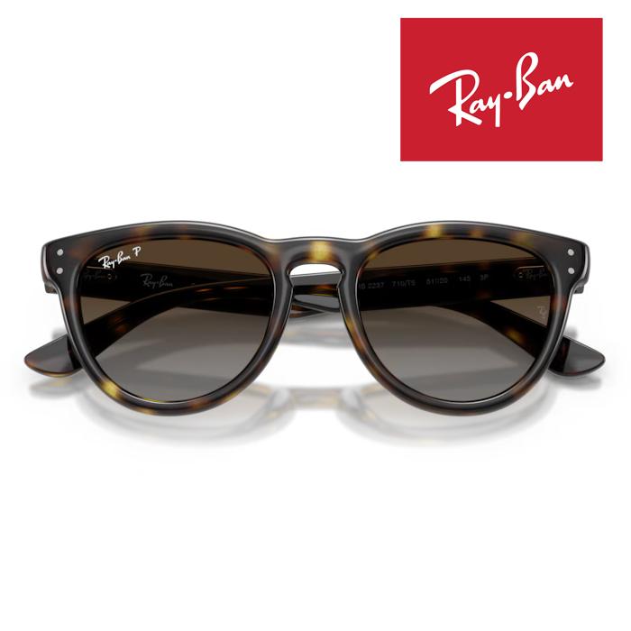 WAYFARER RayBan レイバン サングラス メガネフレーム 51□20 ハバナ