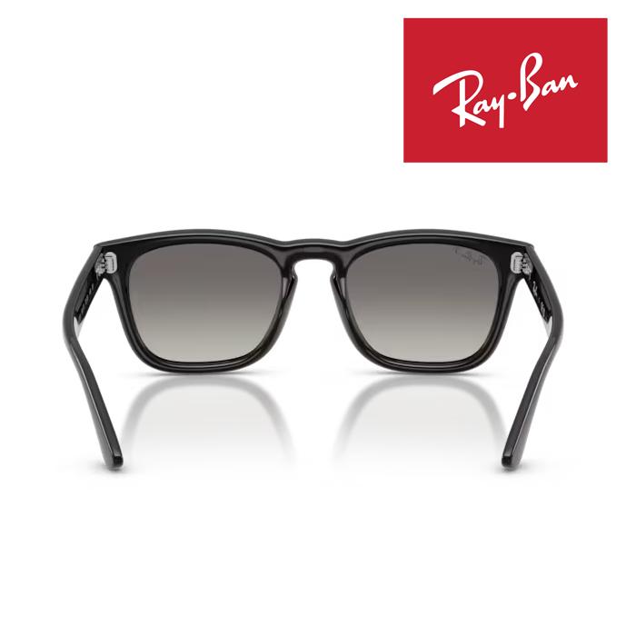 Ray-Ban レイバン NEW WAYFARER 偏光 ケース付き サングラス WAYFARER RayBan レイバン サングラス メガネフレーム 52□20 ブラック