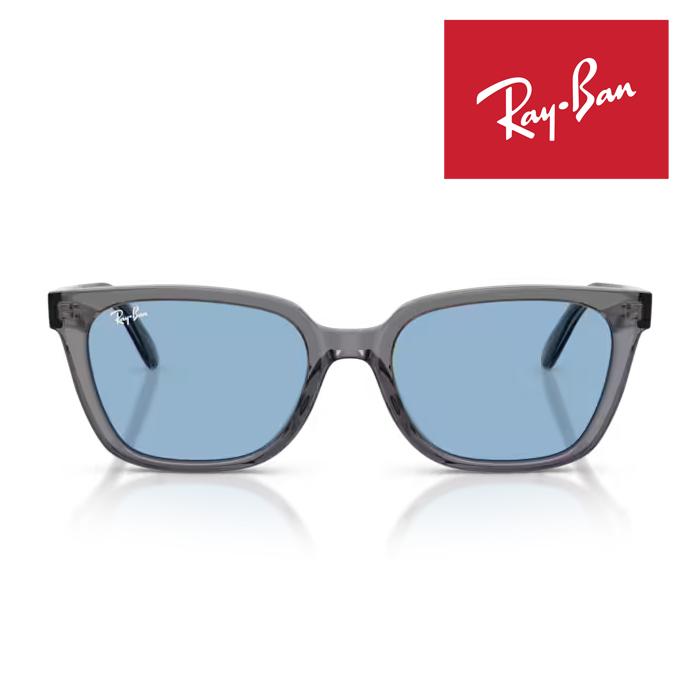 WAYFARER RayBan レイバン サングラス メガネフレーム 55□19