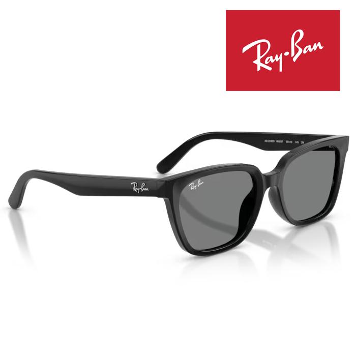 WAYFARER RayBan レイバン サングラス メガネフレーム 55□19