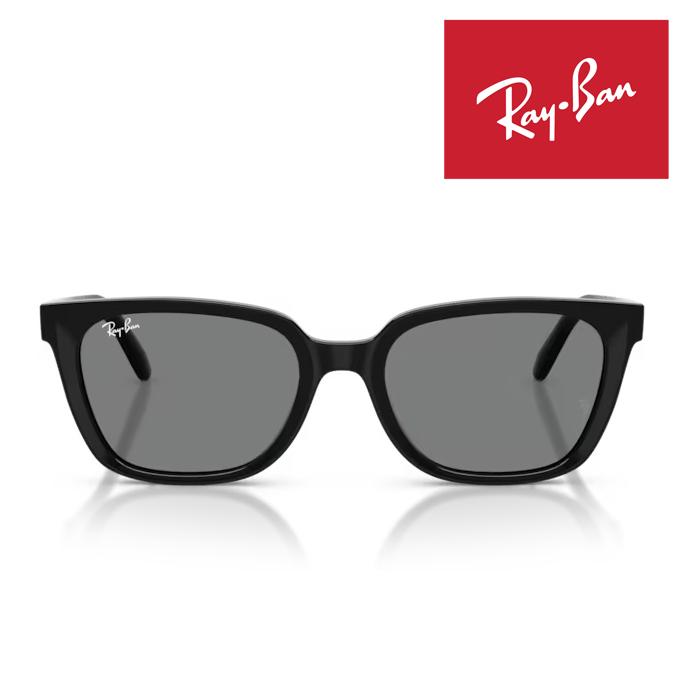 WAYFARER RayBan レイバン サングラス メガネフレーム 55□19