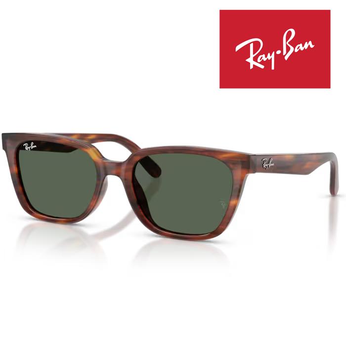 WAYFARER RayBan レイバン サングラス メガネフレーム 55□19 Striped
