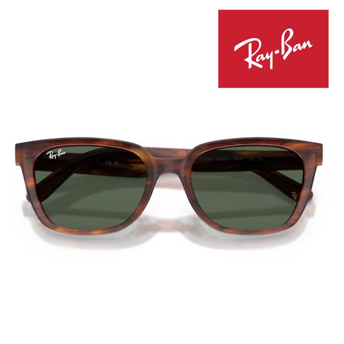 WAYFARER RayBan レイバン サングラス メガネフレーム 55□19 Striped