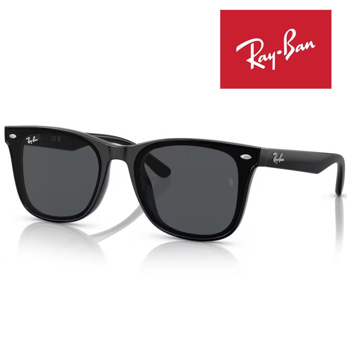Ray-Ban（レイバン） RayBan サングラス メガネフレーム 65□18