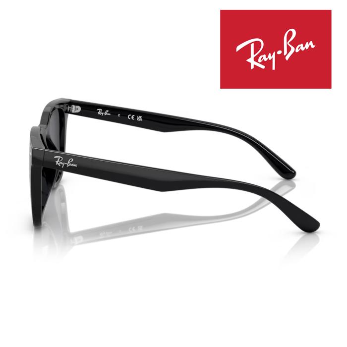 Ray-Ban レイバン サングラス RB4391D 65サイズ ケース付 Ray-Ban（レイバン） RayBan サングラス メガネフレーム 65□18