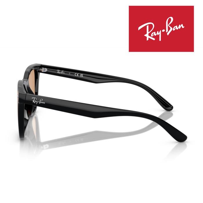 Ray-Ban RB4391D ブラック サングラス ケース付き Ray-Ban（レイバン） RayBan サングラス メガネフレーム 65□18