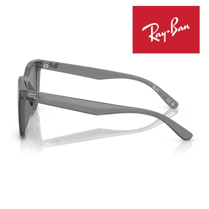 Ray-Ban（レイバン） RayBan サングラス メガネフレーム 65□18 グレー