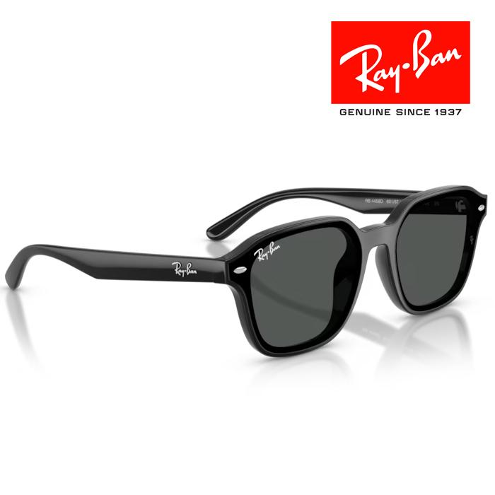 Ray-Ban（レイバン） RayBan サングラス メガネフレーム 65□18