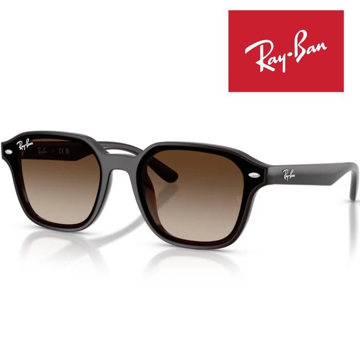 Ray-Ban（レイバン） RayBan サングラス メガネフレーム 65□18