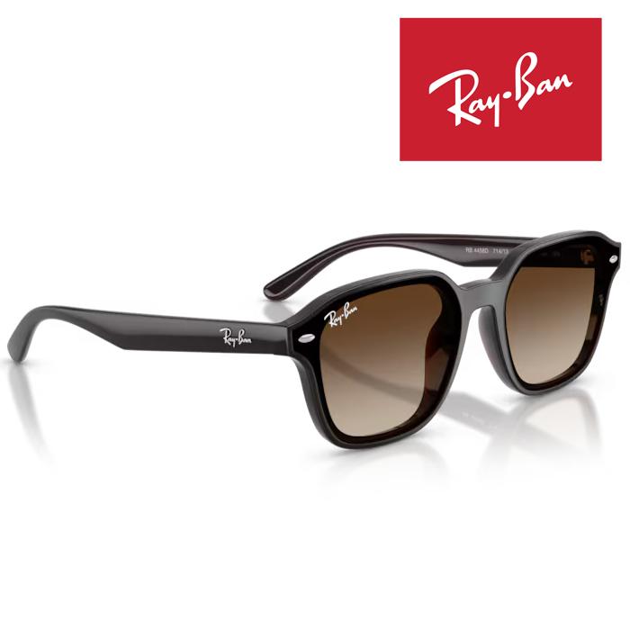 Ray-Ban（レイバン） RayBan サングラス メガネフレーム 65□18
