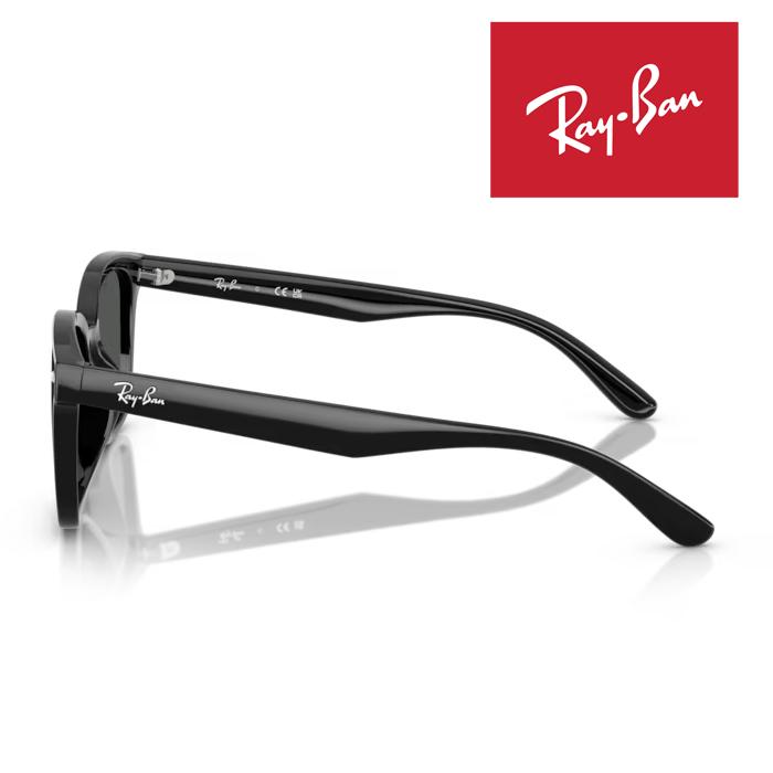 Ray-Ban（レイバン） RayBan サングラス メガネフレーム 64□17
