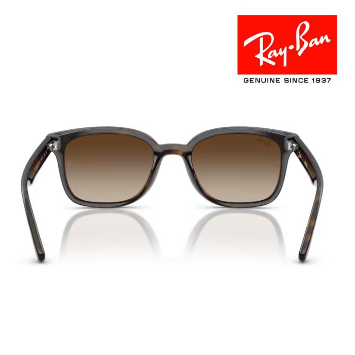 Ray-Ban（レイバン） RayBan サングラス メガネフレーム 64□17