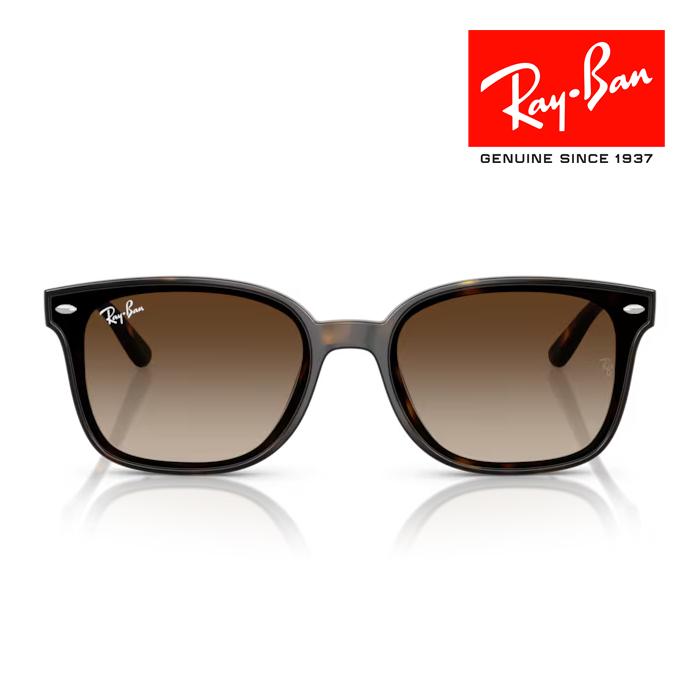 Ray-Ban（レイバン） RayBan サングラス メガネフレーム 64□17