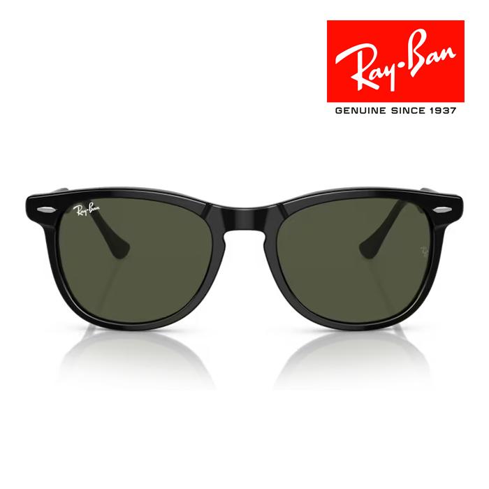Ray-Ban（レイバン） RayBan サングラス メガネフレーム EAGLEEYE