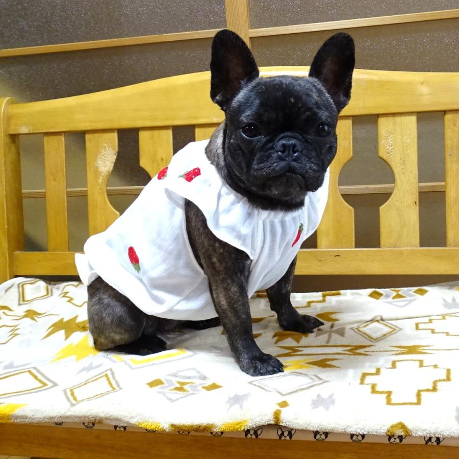 Wガーゼ・いちご刺繍バルーンワンピース : フレンチブルドッグ服
