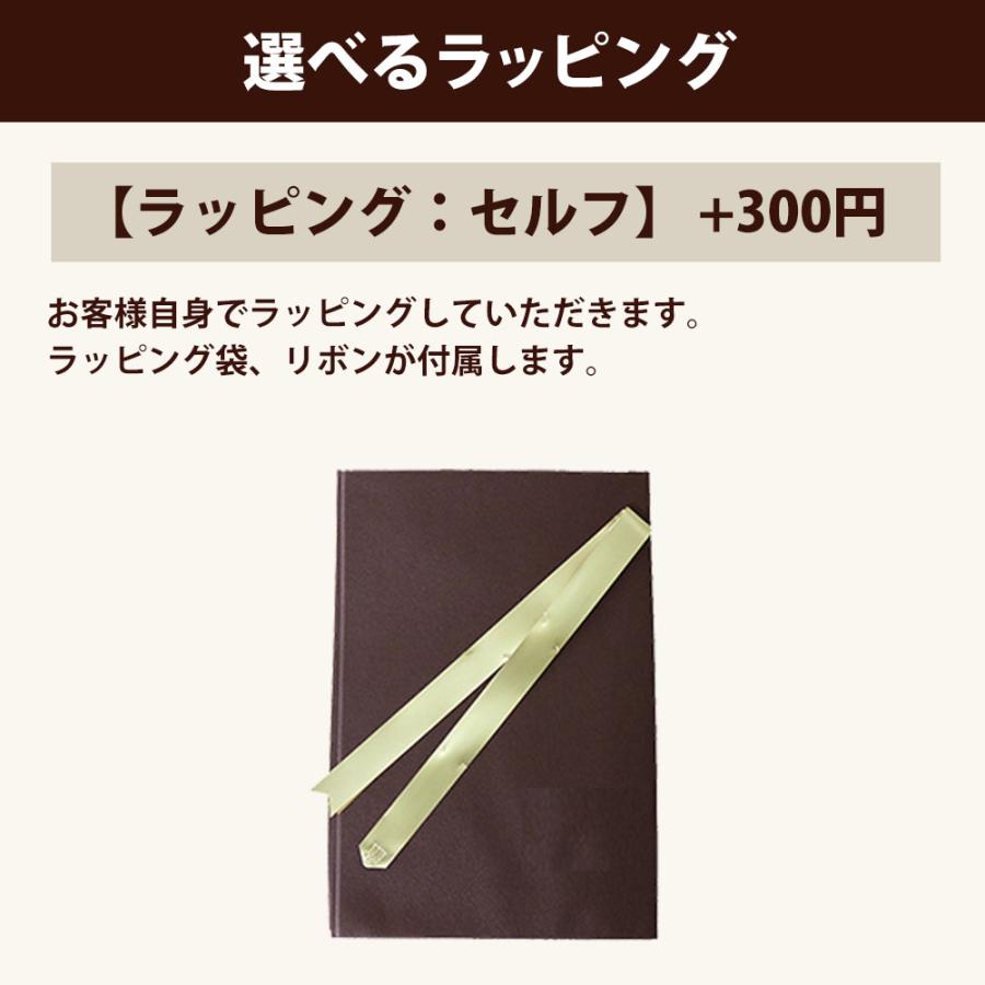 【並行輸入品】ヴィヴィアンウエストウッド Vivienne Westwood ネックレス  63020098 ビビアンウエストウッド ヴィヴィアン ヴィヴィアンネックレス 5colorの画像