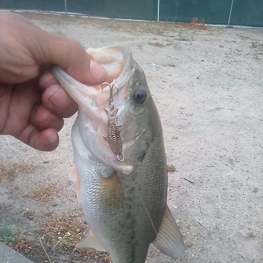 Marryat Tacticalフライロッド　並行輸入品 Marryat