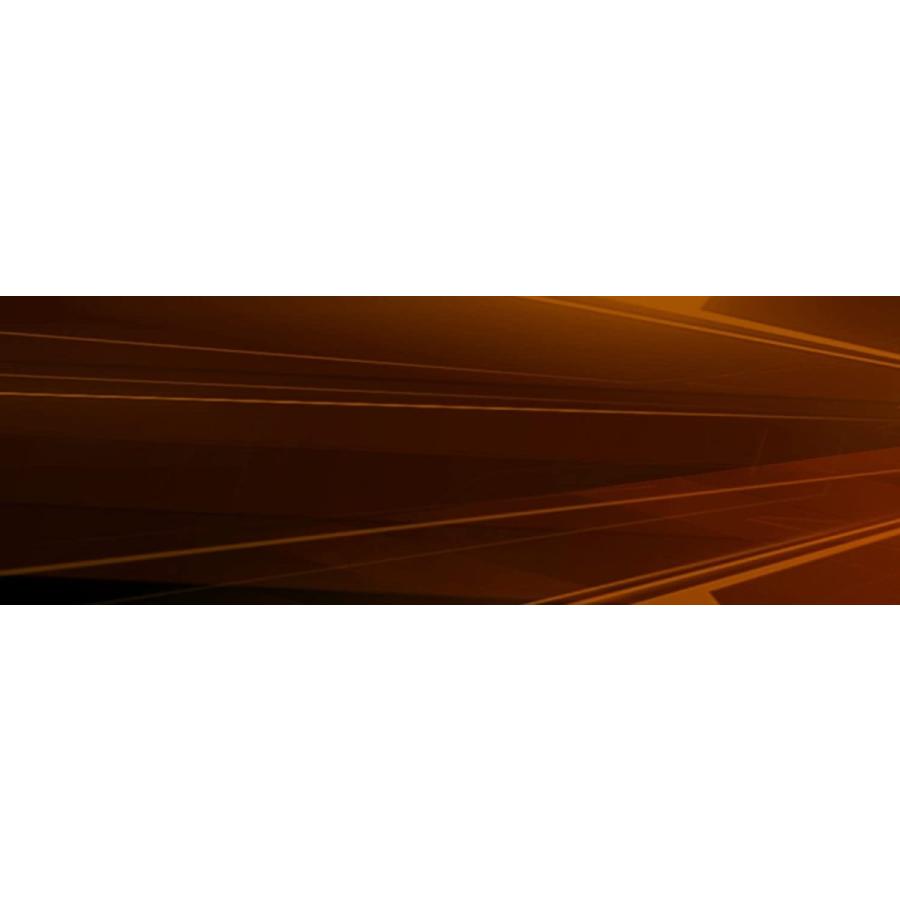 大人の上質 ポケットモンスター ソウルシルバー 特典無し 並行輸入品 その他タブレットpc Www Gatorheatandair Com