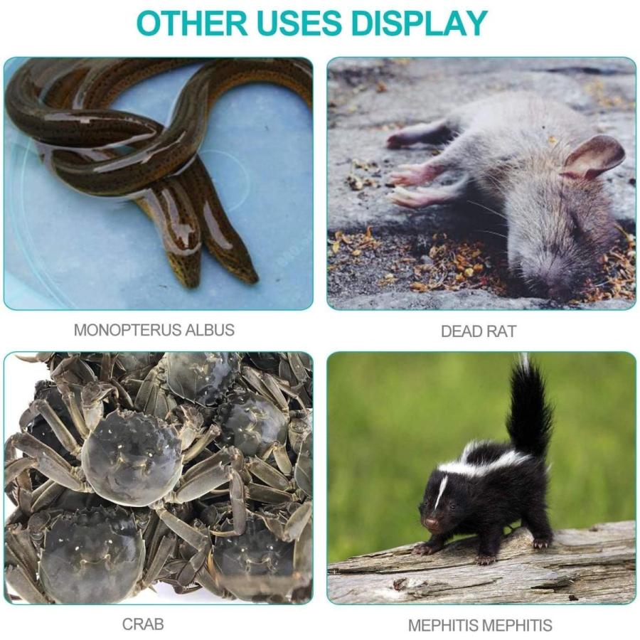 Marryat Tacticalフライロッド　並行輸入品 Marryat