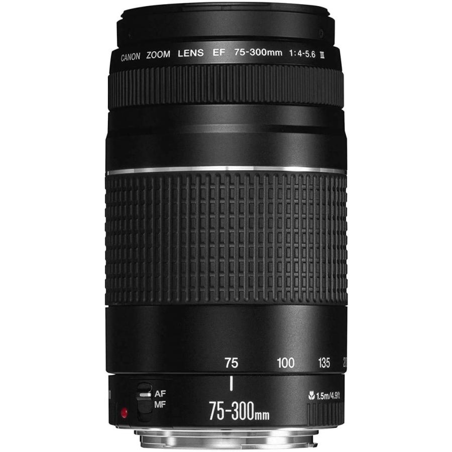 送料無料 激安 お買い得 キ゛フトキャノンEF 75-300mm f 望遠ズーム