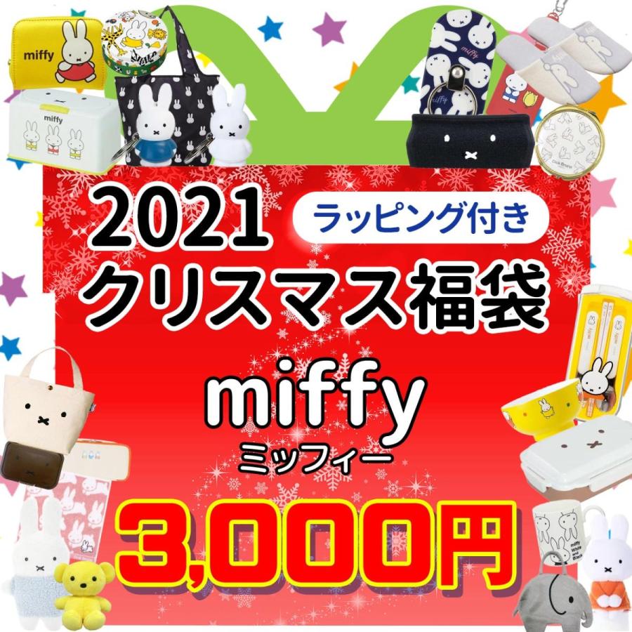 ミッフィー クリスマス福袋 ラッピング付 21 数量限定 キャラクター グッズ ブルーナ 福箱 詰め合わせ プレゼント 女の子 男の子 キッズ 子供 22 その他テレビ アニメ キャラクターグッズ