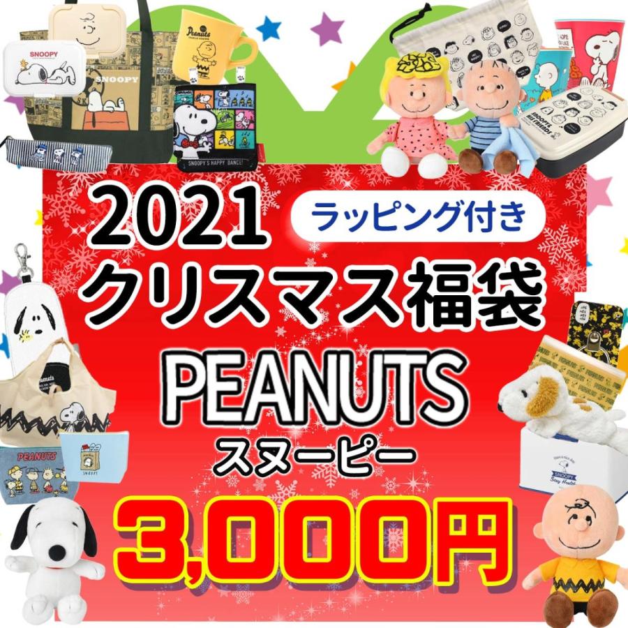 スヌーピー クリスマス福袋 ラッピング付 21 数量限定 Snoopy ウッドストック 福箱 詰め合わせ プレゼント ギフト 女の子 男の子 キッズ 子供 22 Fkc Snoopy3000 Emonrヤフーショッピング店 通販 Yahoo ショッピング