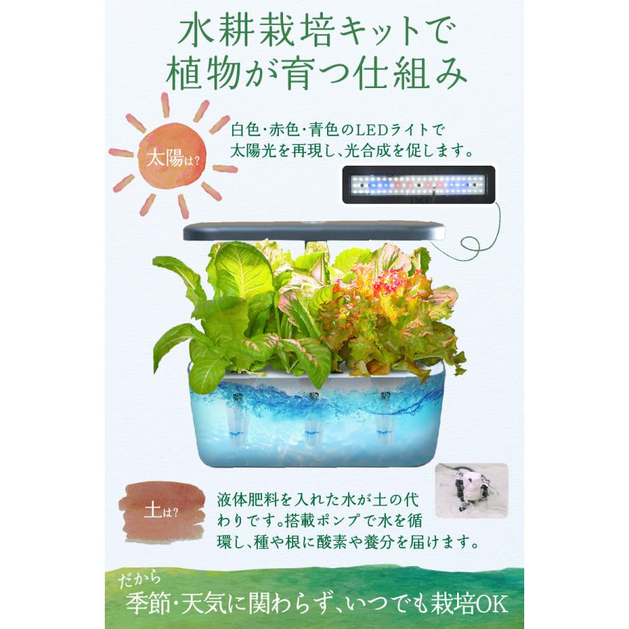 水耕栽培 キット セット 家庭菜園 プランター栽培 育苗 水耕栽培 水耕栽培 キット セット 家庭菜園 プランター栽培 育苗 水耕栽培