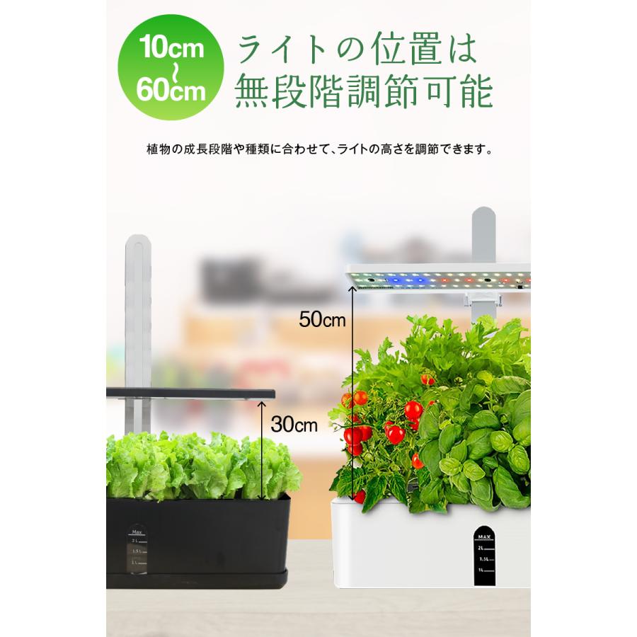 水耕栽培 キット セット 家庭菜園 プランター栽培 育苗 水耕栽培 水耕栽培 キット セット 家庭菜園 プランター栽培 育苗 水耕栽培