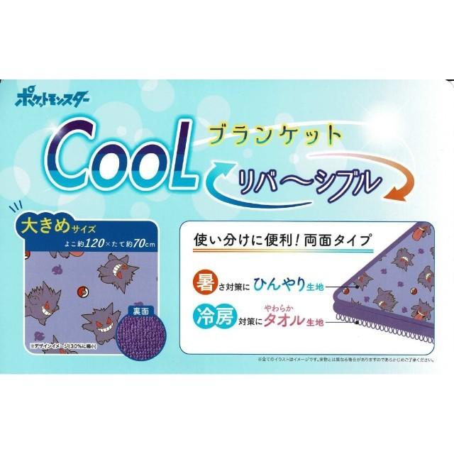ポケットモンスター ブランケット グッズ 全5種 キャラクター 接触冷感 リバーシブル ピカチュウ イーブイ カビゴン ゲンガー ひんやり 昼寝 快適 送料無料 Zz311 Emonrヤフーショッピング店 通販 Yahoo ショッピング