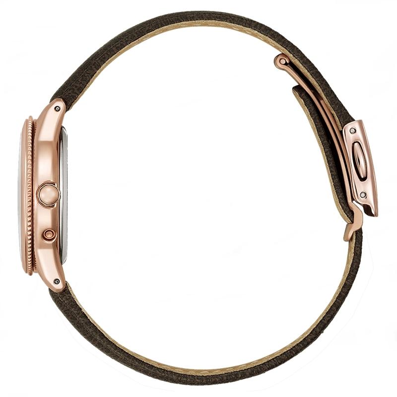 XC シチズン クロスシー CITIZEN xC daichi collection エコ・ドライブ