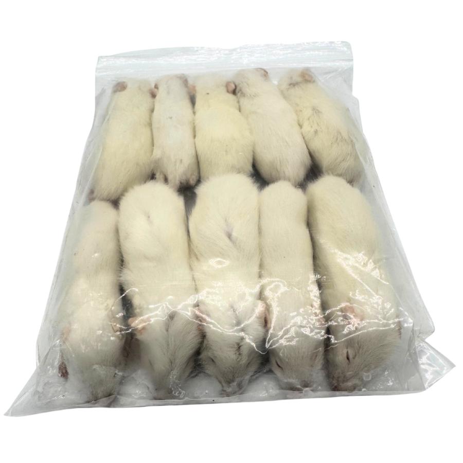 冷凍 ラット アダルト SSS 30サイズ(30g ~ 40g × 10匹セット） 餌