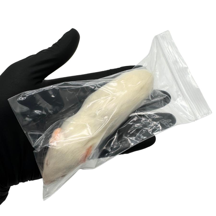 冷凍 アダルト ラット S (60g ~ 80g × 5匹セット） 餌 爬虫類 猛禽類
